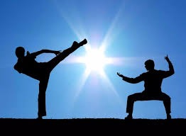 解析亚利桑那响尾蛇队如何通过多元化球员组合实现多维度的战术打击